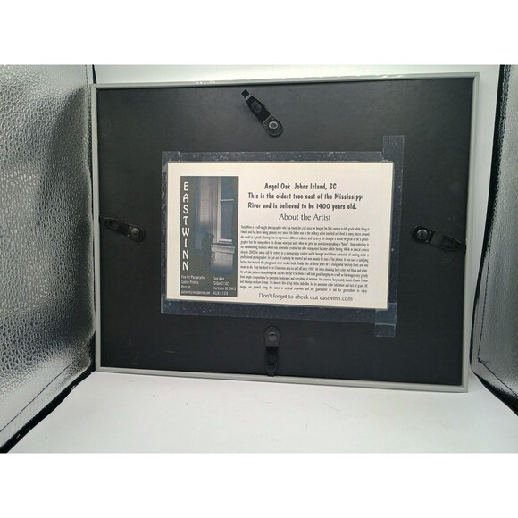 Photographic Art Angel Oak Tree John Island SC By Toni Winn 14.5x11 - Picture 8 of 10